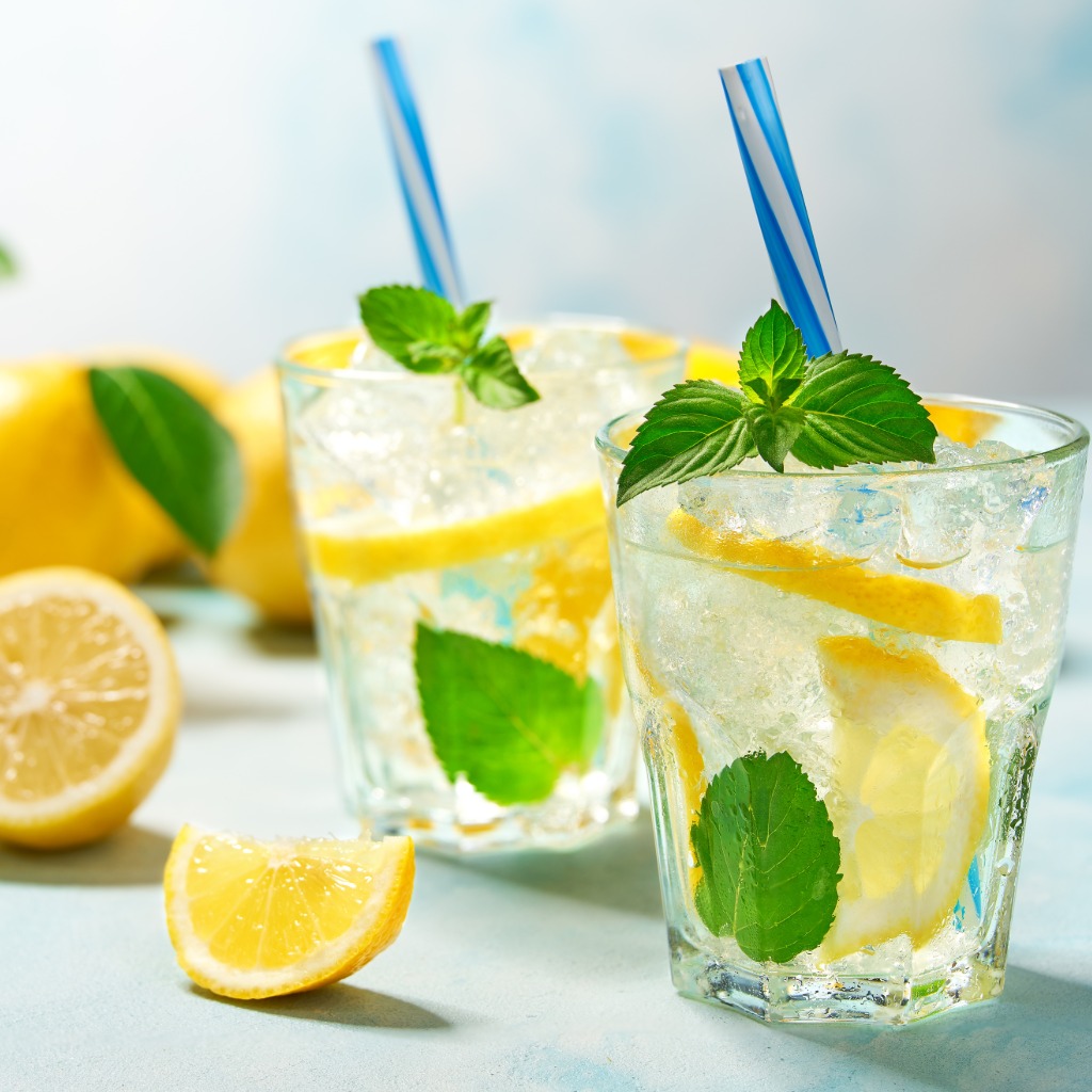 mint and lemon water vrat savitri vrat recipes by shrafest